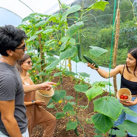 Galapagos Cabanas Eden Bellavista  Kültér fotó