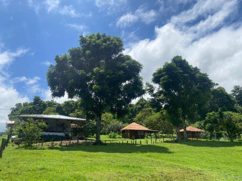 Galapagos Cabanas Eden Bellavista  Kültér fotó